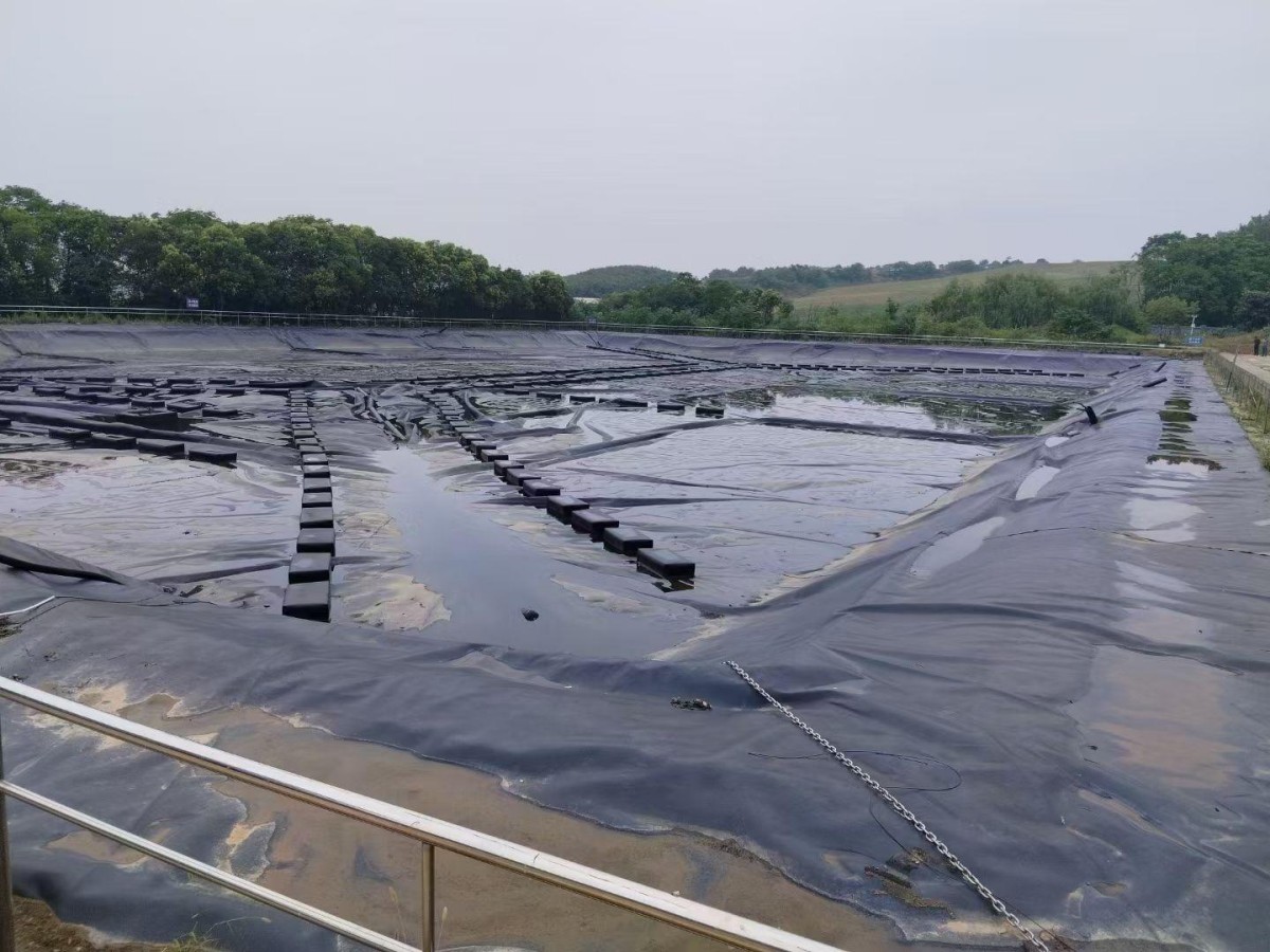 应用科普：SBS防水卷材在屋面与地下工程中的结构适配与选型原则